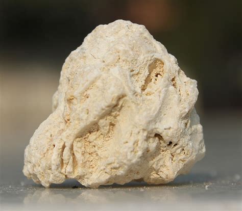 Fossilized limestone. The specimen on the lower right is an approximately 80 million-year-old fossil dinosaur egg from the Late Cretaceous Djadochta Formation of Shahbarakh Usu, Mongolia. It was collected by A. F. Johnson on 17 July 1923 as one of a group of 3 weathered oviraptorid eggs. The object on the upper left is a water-worn rock, most likely from a river. 