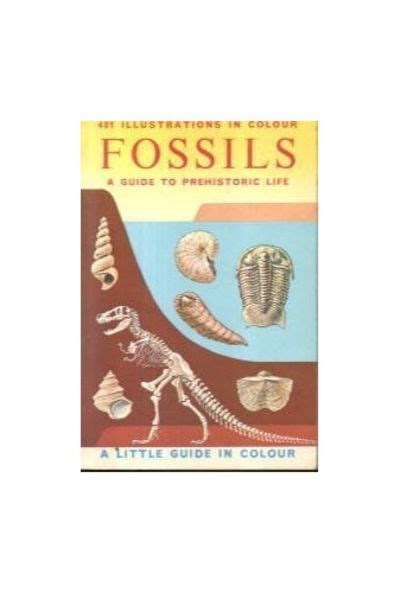 Fossils a guide to prehistoric life little guides in colour. - Nys data recording exam study guide.