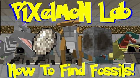 Been playing Pixelmon for a couple months, built myself a lab, figured "hey, I have a lab, why don't I decorate with some fossils?". So, I put some in item frames in the more-lab-like back (like for examination and whatnot), remembered that the fossil display cases were a thing.. 