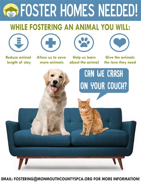 Foster a dog near me. Why Foster? Each animal fostered in a home opens space at the shelters for us to save another animal! Preparing a homeless pet for adoption by giving your ... 