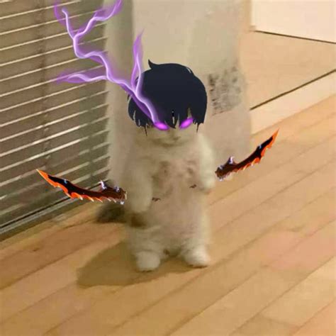 codini.rgarabwor.edu.pl. 