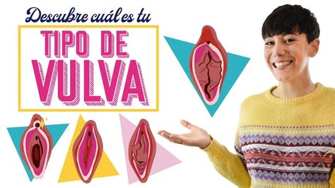 Antes que nada seamos claros, lo que usualmente llamamos vagina es la vulva, un término que encapsula todas las partes reproductivas femeninas: el clítoris, ...
