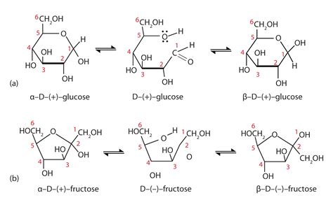 Foulgers test.  Carbohydrates are of three forms: Monosaccharide (one molecule...