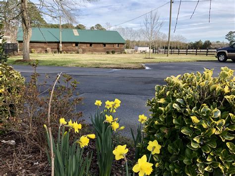 Foulkscourt Stables, LLC In Virginia Beach, VA