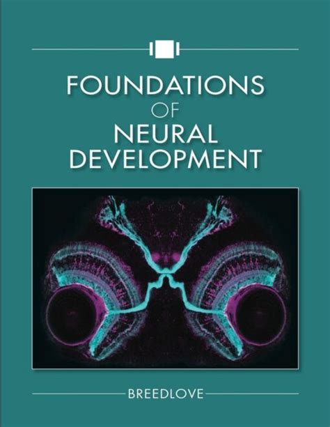 Download Foundations Of Neural Development By S Marc Breedlove