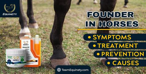 Founder in Horses - Know The Warning Signs this Spring