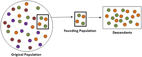 Founding population. No because in the founding population there was only 6 individuals, while in the original population, there were 24. And also, since there was only 6, some colours were not even incuded, like blue, red,and brown. This means that the frequencies of these will be 0%. In the original population, there were no 0% frequencies. 