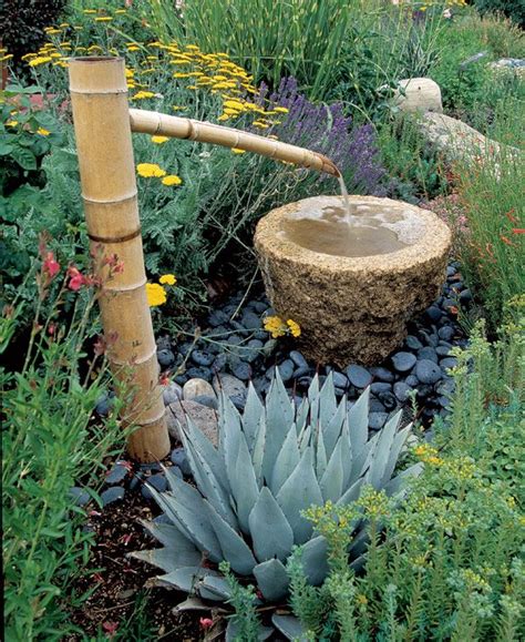 Fountain bamboo - FineGardening