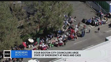 Four Boston city councilors call for state of emergency at Mass and Cass