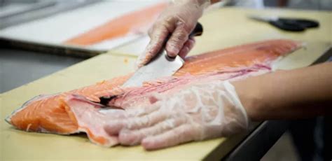 Four Things I Learned About Fish Fabrication Institute of Culinary ...