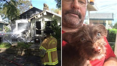 Four people, two dogs survive fire incident in Antioch