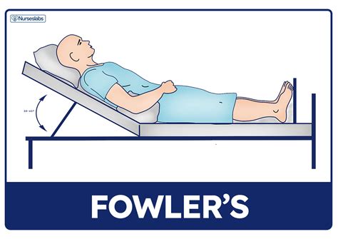 Fowlers. Things To Know About Fowlers. 