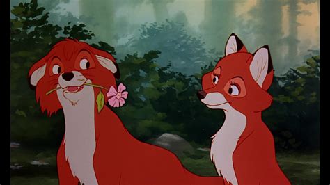 Screencap Gallery for The Fox and the Hound (1981)