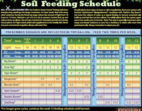 Fox farm trio schedule. I started around week 1 in happy frog at 1/3 strength. When transplanted to ffof i initially used 1/3 for 2 feedings until rooted then just ph'd water until day 22 when i hit them with 1/3 big bloom, grow big and open sesame. I am growing autoflowers and the are already preflowered. Next week will add in tiger bloom. 