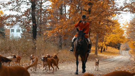 Fox hunt farms. Things To Know About Fox hunt farms. 