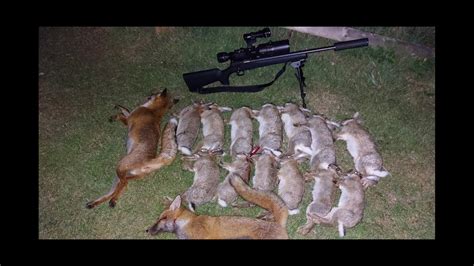 Fox shooting compilation - YouTube