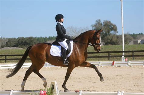 KENTUCKY DRESSAGE ASSOC SPRING WARM-UP AND 36TH