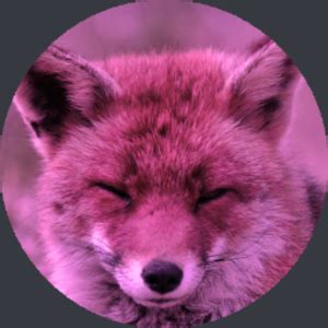 Foxivevo Leaked +18 💦 73 Photos