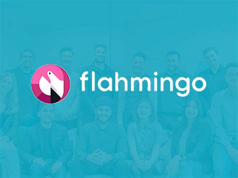 Fractional Investing Made Easy - Flahmingo Investments