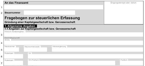 Fragebogen zur steuerlichen erfassung kapitalgesellschaft ausfüllhilfe