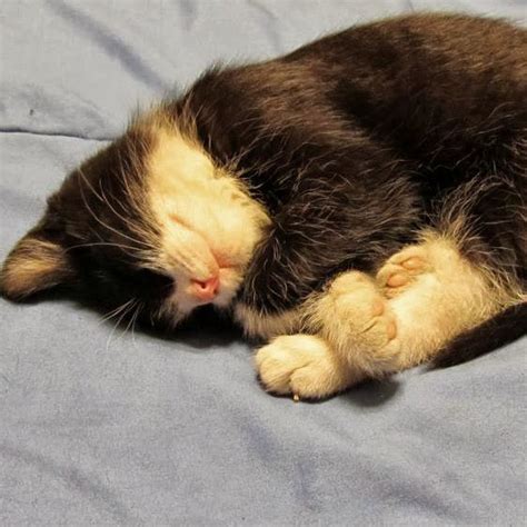 Fragilemilk Leaks [SEX VIDEO] 🍑 245 Videos