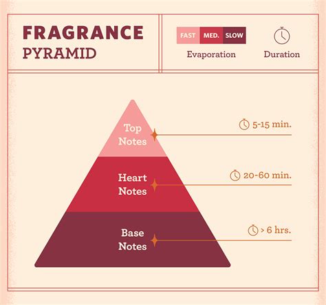 Fragrance notes chart.  Learn top, middle & base notes and how aromatic ingredients create a per...