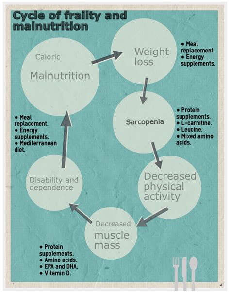 Frailty Nutrition Risk and Malnutrition in Seniors