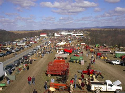 Ring 1 -Fraley's Annual Spring Consignment Auction. Saturday, March 20, 2021 | 8:00 AM Eastern. Auction closed. Ring 1 -Fraley's Annual Spring Consignment Auction. Saturday, March 20, 2021 | 8:00 AM Eastern. Auction closed. Internet Premium: Tiered Instant Financing | Low Payments See Special Terms for additional fees.