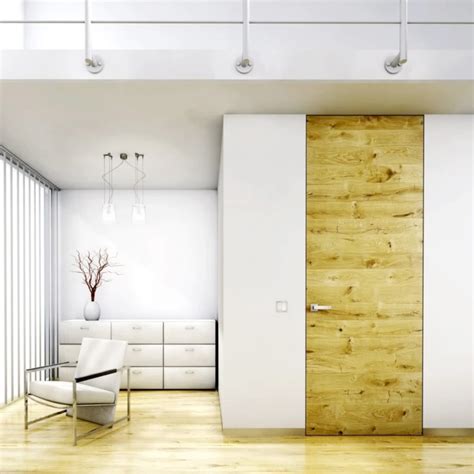 Frameless Interior Doors - Flush with the Wall Doors - Bartels Doors