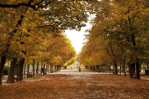 France in November: Weather, Things to See and Travel Tips