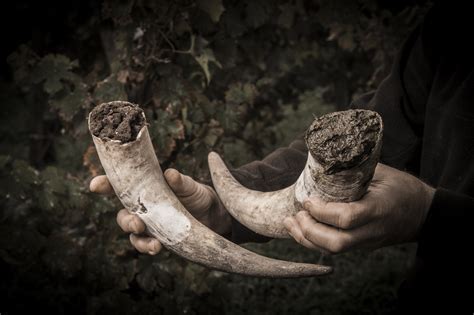 France officially recognises natural wine - The Drinks Business