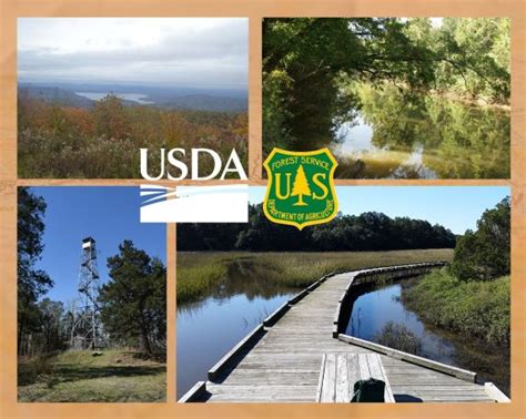 Francis Marion and Sumter National Forests - Home - US …