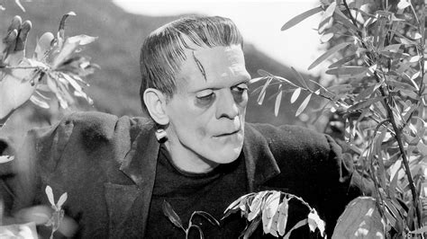 Frankenstein movie