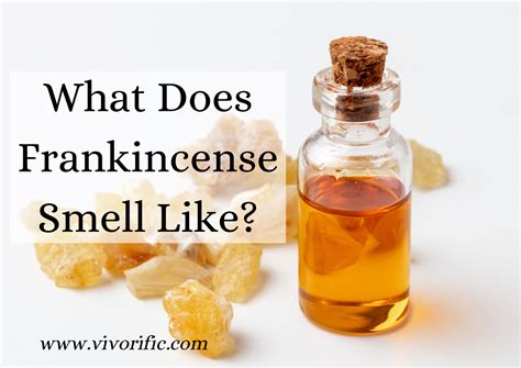 Frankincense smells bad.  It&rsquo;s an austere, earthy scent somewhat simil...