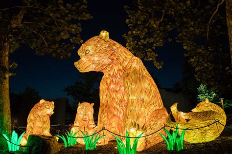 Franklin zoo lights. Things To Know About Franklin zoo lights. 