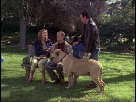 Frasier a day in may