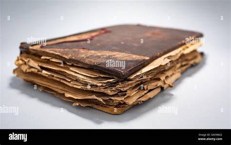 Read Frayed Images
