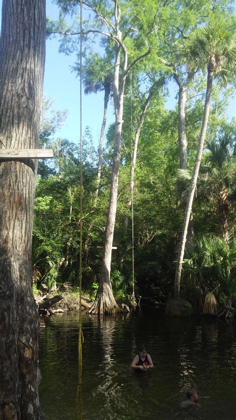 Freak Creek. - Park - Astor, Florida - Zaubee