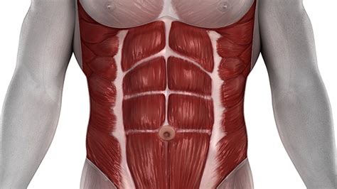 Freakish Strength With Proper Core Training