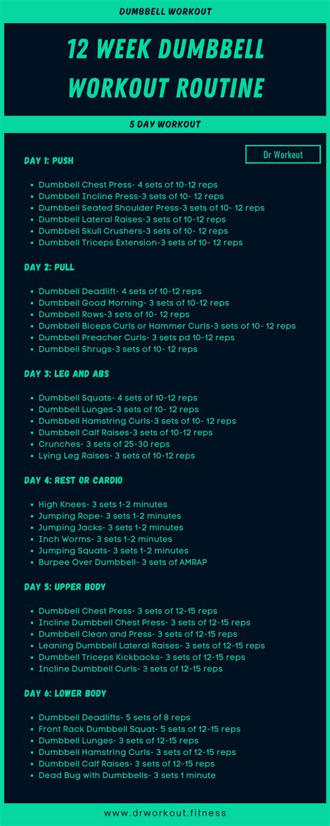 Free 12 week dumbbell workout plan pdf.  Note, be sure to The plan is designed to be flexibl...