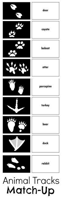 Free Animal Tracks Matching Game Printables