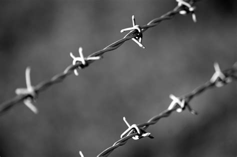 Free Barbed Wire Black And White Photos - Pexels