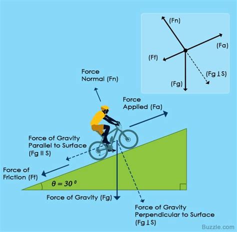 Free Body Diagram Examples JohanafeFord