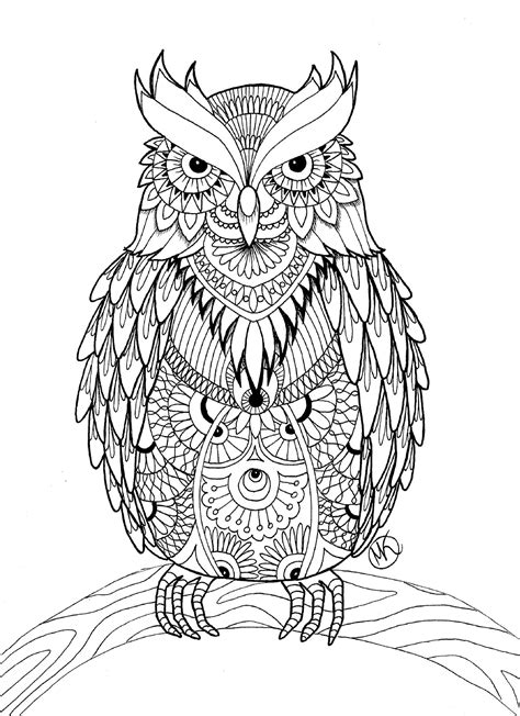 Free Book Owl Owls Adult Coloring Pages