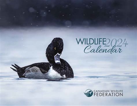 Free Canadian Wildlife Federation Calendar 2024