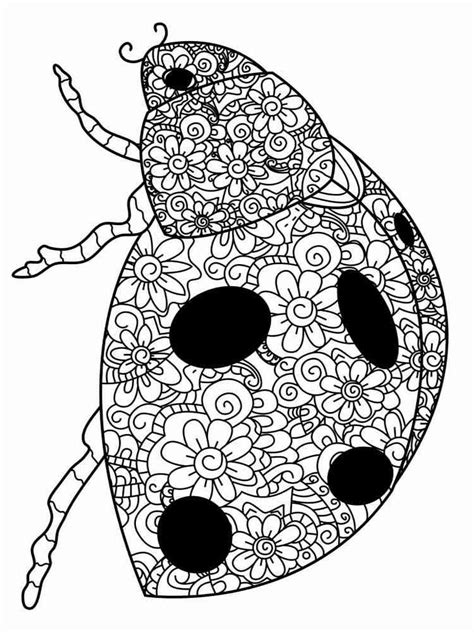 Free Coloring Pages Ladybug 324+ SVG File for DIY Machine