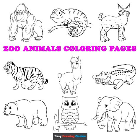 Free Coloring Pages Zoo Animals