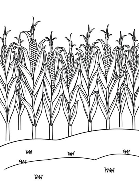Free Corn Field Coloring Pages Sketch Coloring Page