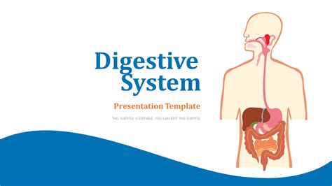 Free Digestive System Medical Powerpoint Template For Medical Powerpoint Presentations