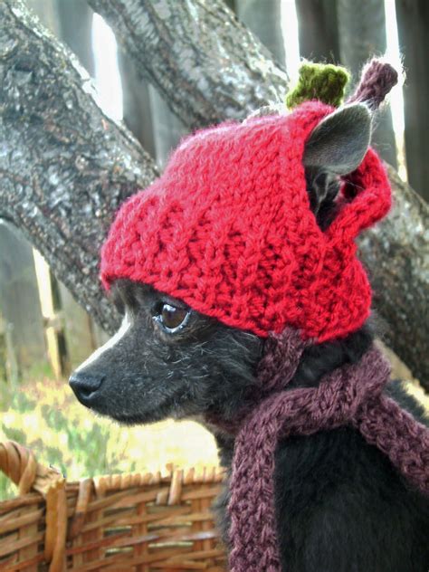 Free Dog Hat Knitting Patterns Available Online